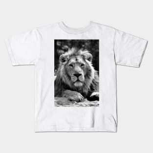 Asiatic Lion Panthera Leo Persica Big Cat Male Kids T-Shirt